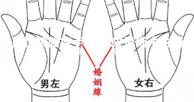 前世積陰德手相 掌紋清晰今生圓滿
